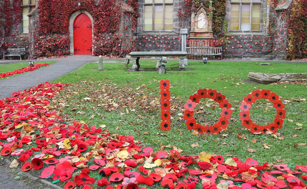 remembrance poppy display